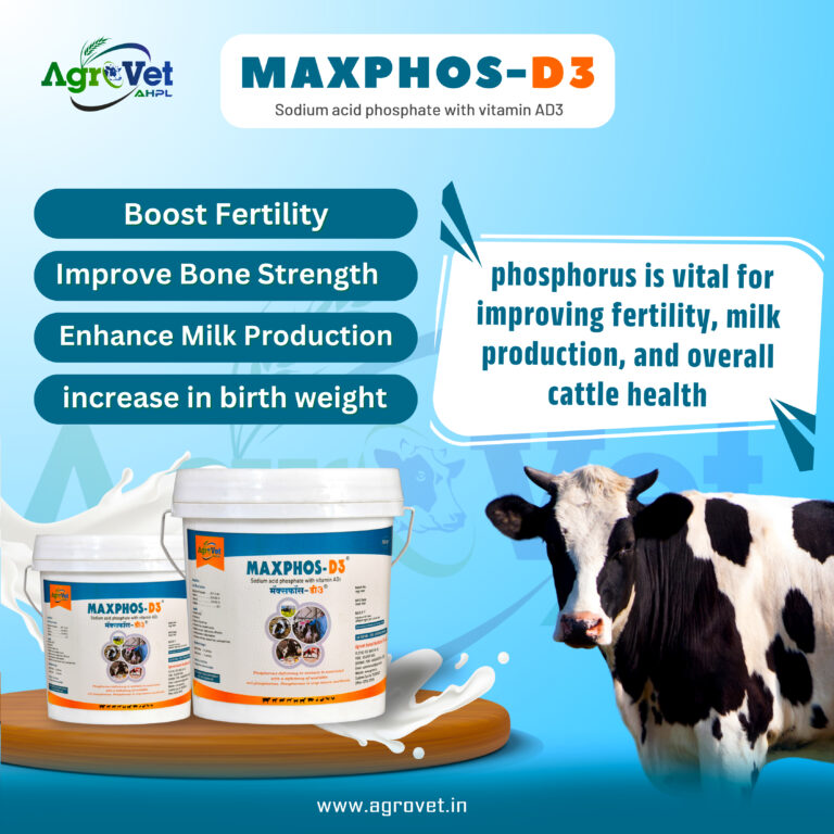 MAXPHOS-D3 english