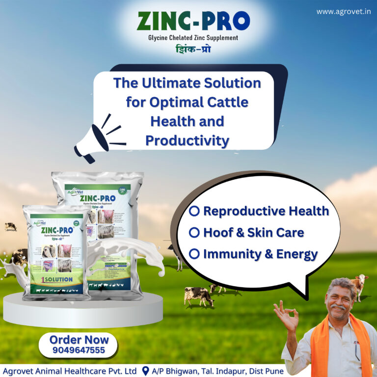 zink pro english