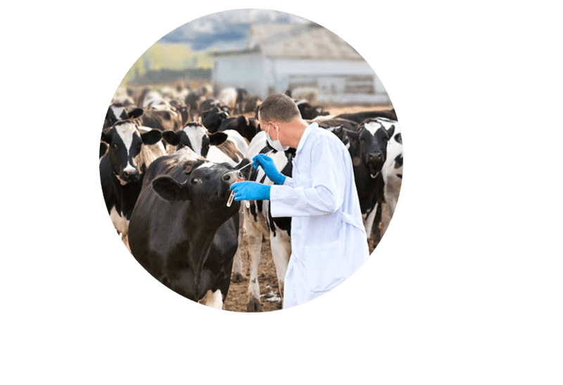 Vetted by vets, Trusted by farmers